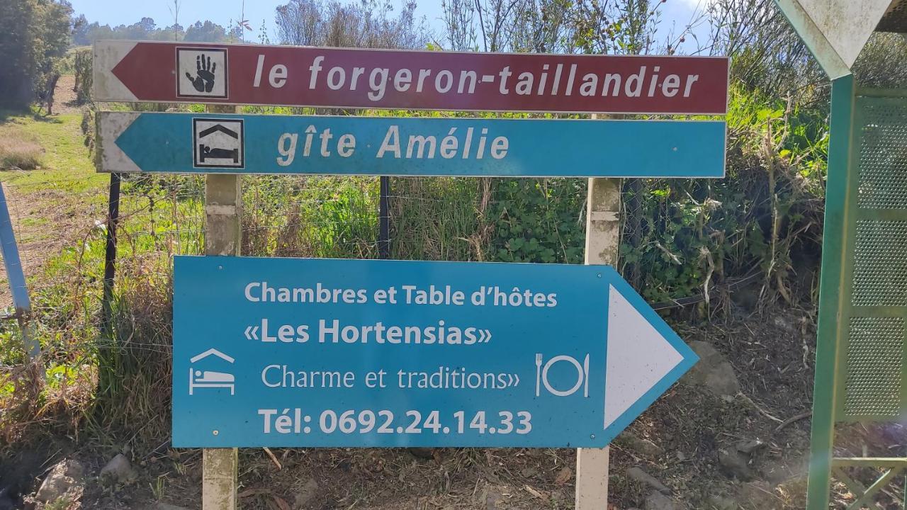 Chambres et Table d'hôte Les Hortensias La Plaine des Cafres Exterior foto